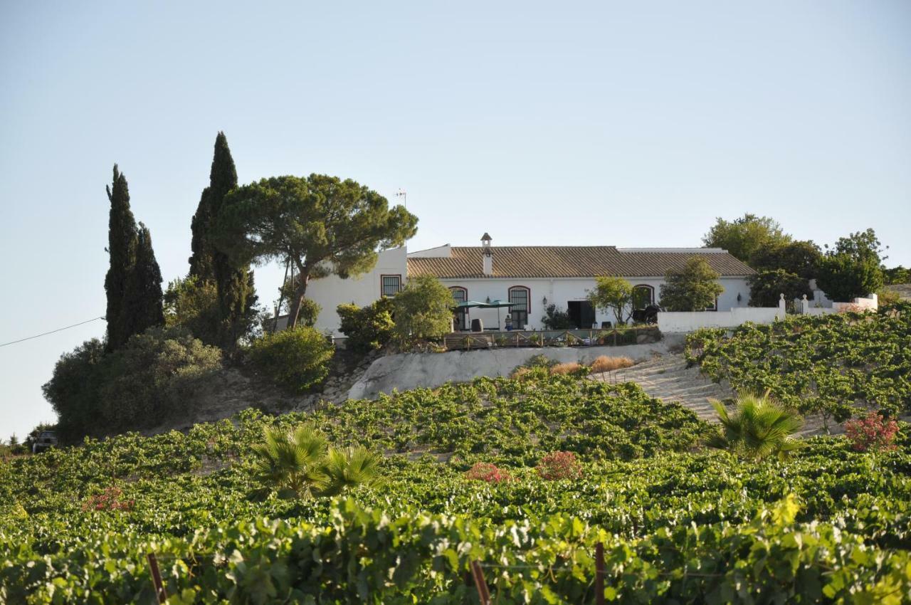 Hostal Viña Santa Petronila Jerez de la Frontera Exterior foto